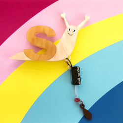 snail acrylic brooch